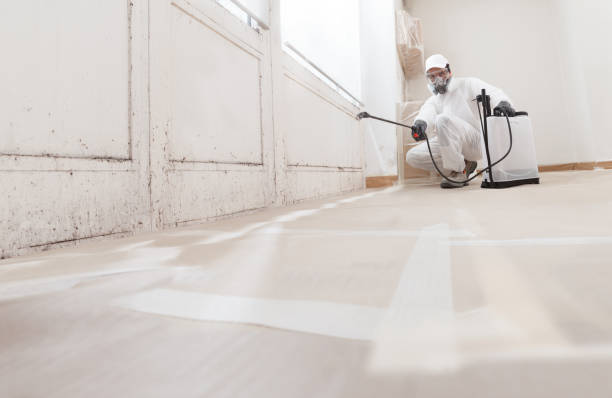 24/7 Emergency Attic Mold Removal experts in Greenville, TX