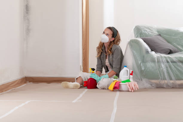 Reliable Attic Mold Removal contractor in Greenville, TX by WQB Mold Removal